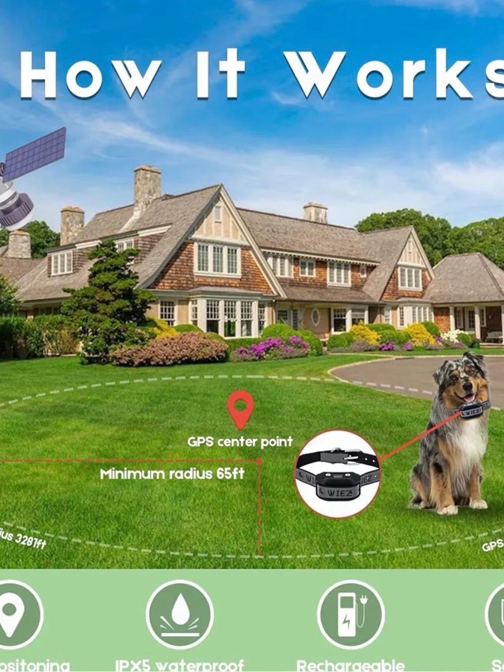 Gray Anti-Bark Dog Collar with Remote